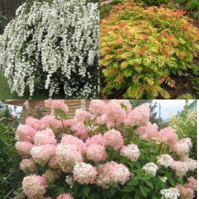 Комплект ФЕЙЕРВЕРК ЛЕТА в Владикавказе