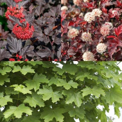 Комплект ОСЕННИЙ КОСТЕР в Владикавказе