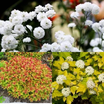 Комплект СОЛНЕЧНЫЙ МИКС в Владикавказе