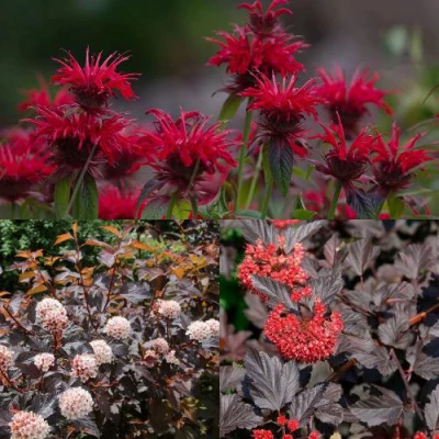 Комплект ОГНЕННЫЙ МИКС в Владикавказе