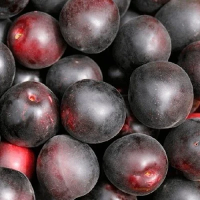 Абрикос ЧЕРНЫЙ ПРИНЦ в Владикавказе