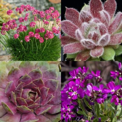 Комплект МИНИ САД в Владикавказе