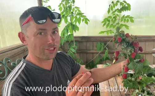 Превью видео