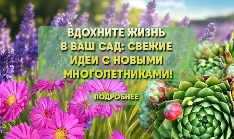 МНОГОЛЕТНИКИ РФ