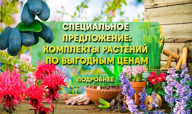 наборы от Плодопитомник сад наборы от Плодопитомник сад
